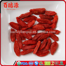 Baya de goji orgánica sin consistencia como usar goji berry medicina china cortes de baya goji sin azufre